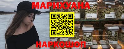 спиды Кингисепп