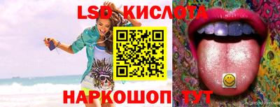 спиды Кингисепп
