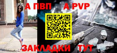 спиды Кингисепп