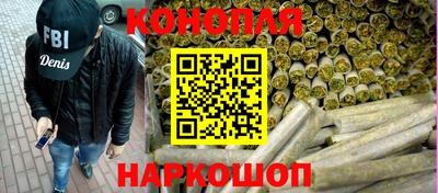 спиды Кингисепп