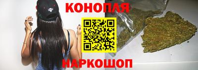 спиды Кингисепп