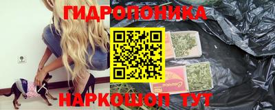 индика Кимры