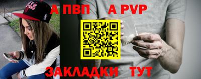 спиды Кингисепп